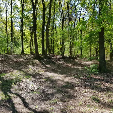 דירה Knusse Hartje Veluwe *