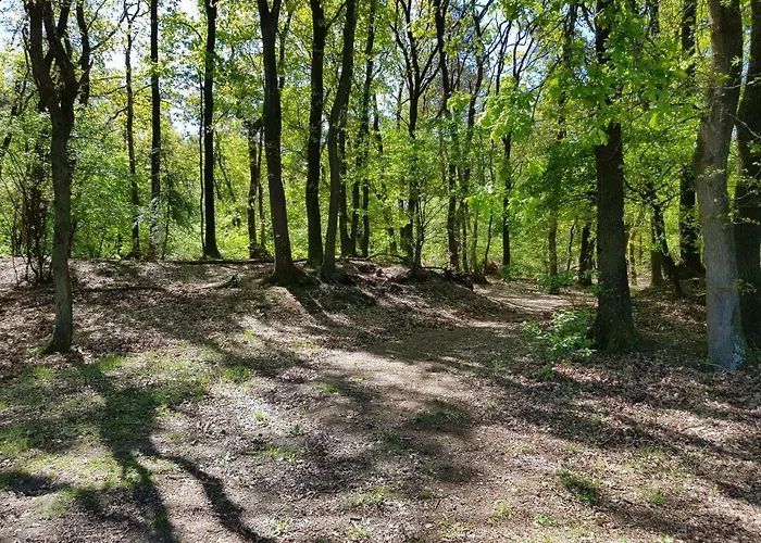 Apartman Knusse Hartje Veluwe *