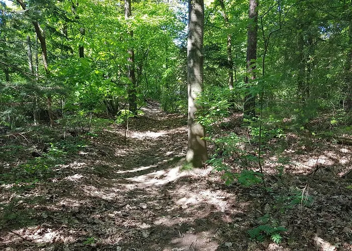 Knusse Hartje Veluwe
