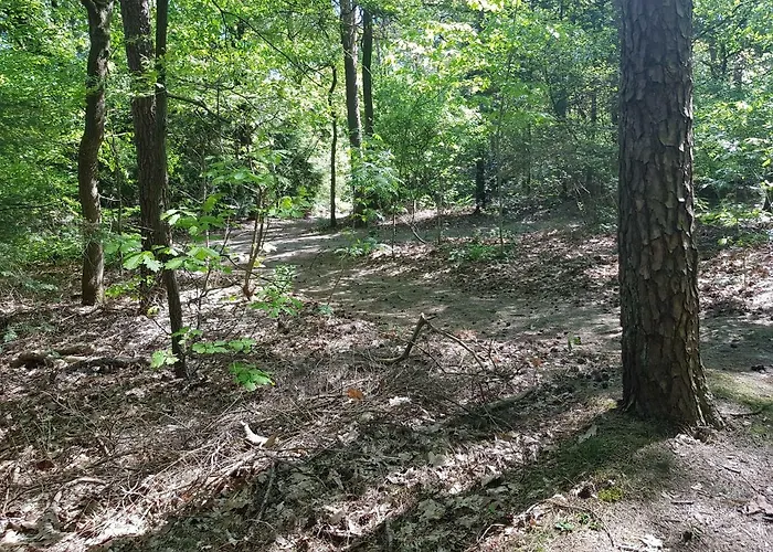 Knusse Hartje Veluwe * Otterlo