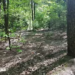 Knusse Hartje Veluwe * אוטרלו